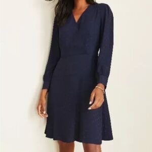 Preppy Navy Polka Dot Dress - EUC